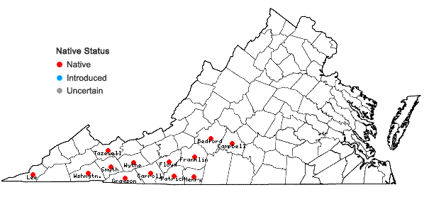 Locations ofSolidago patula Muhl. ex Willd. in Virginia