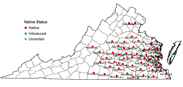 Locations ofSolidago pinetorum Small in Virginia