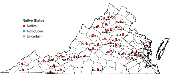 Locations ofSolidago puberula Nutt. in Virginia