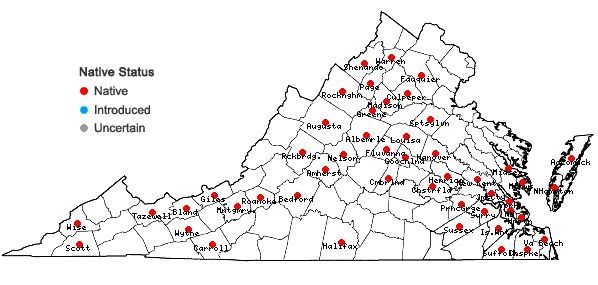Locations ofSolidago puberula Nutt. in Virginia