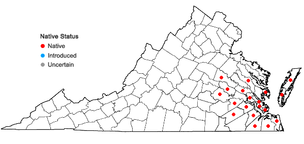Locations ofSolidago pulverulenta Nutt. in Virginia