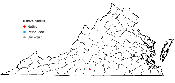 Locations ofSolidago rigida L. var. glabrata E.L. Braun in Virginia