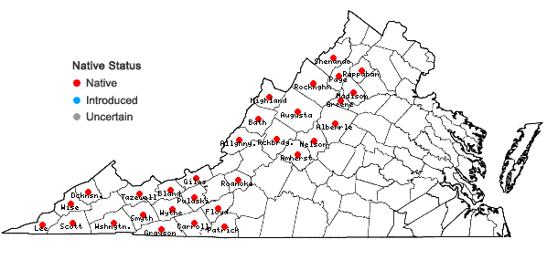 Locations ofSolidago roanensis Porter in Virginia