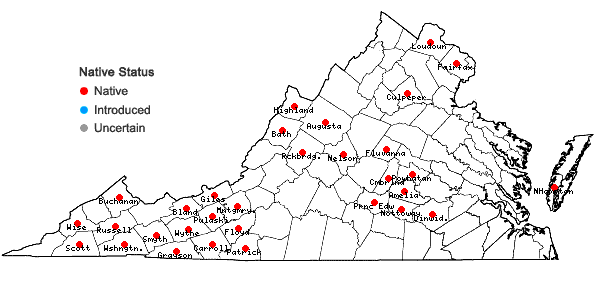 Locations ofSolidago rugosa P. Mill. var. rugosa in Virginia