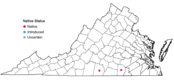 Locations ofSolidago salicina Elliott in Virginia