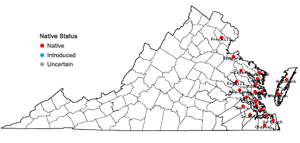 Locations ofSolidago sempervirens L. var. mexicana (L.) Fern. in Virginia