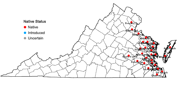 Locations ofSolidago sempervirens L. in Virginia
