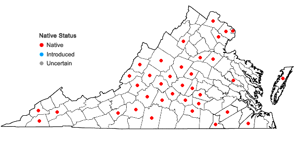Locations ofSolidago speciosa Nutt. var. speciosa in Virginia
