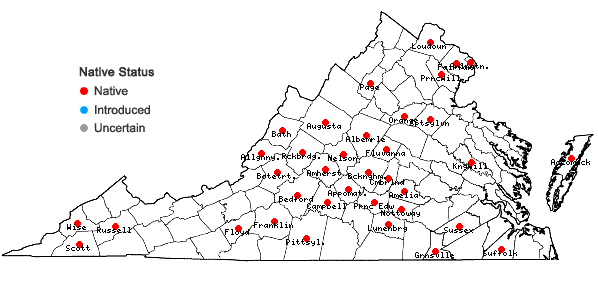 Locations ofSolidago speciosa Nutt. in Virginia