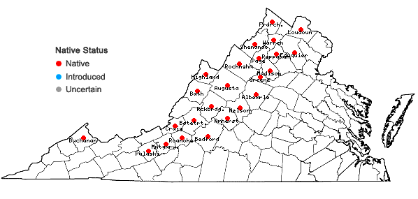 Locations ofSolidago squarrosa Nutt. in Virginia