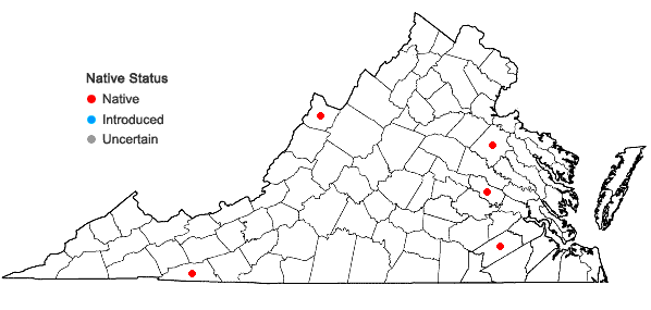 Locations ofSolidago uliginosa Nutt. var. uliginosa in Virginia