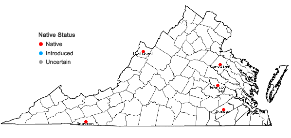 Locations ofSolidago uliginosa Nutt. var. uliginosa in Virginia