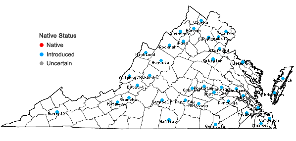 Locations ofSonchus oleraceus L. in Virginia