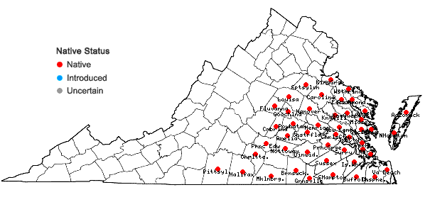 Locations ofSophronanthe pilosa (Michx.) Small in Virginia