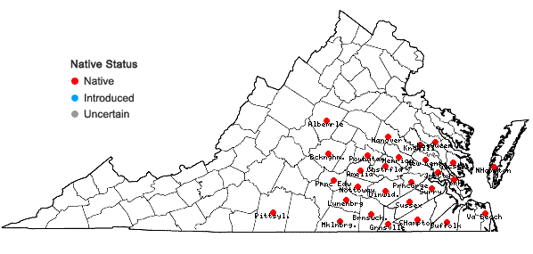 Locations ofSorghastrum elliottii (C. Mohr) Nash in Virginia
