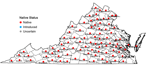 Locations ofSorghastrum nutans (L.) Nash in Virginia