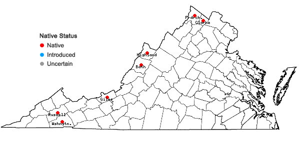 Locations ofSparganium acaule (Beeby ex Macoun) Rydberg in Virginia