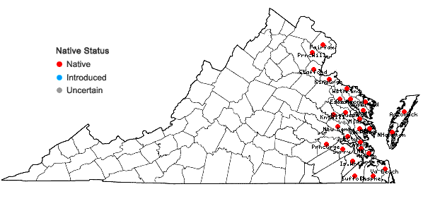 Locations ofSpartina cynosuroides (L.) Roth in Virginia