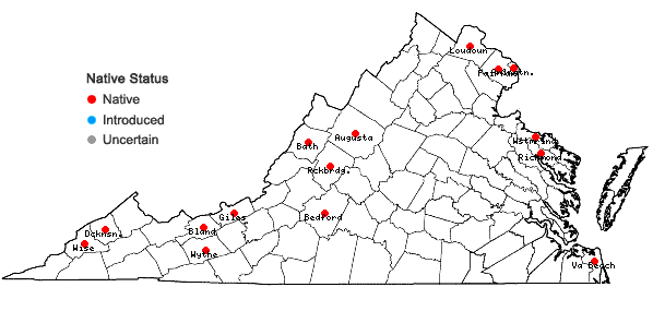 Locations ofSpartina pectinata Link in Virginia