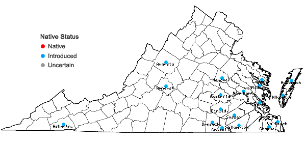 Locations ofSpergula arvensis L. in Virginia