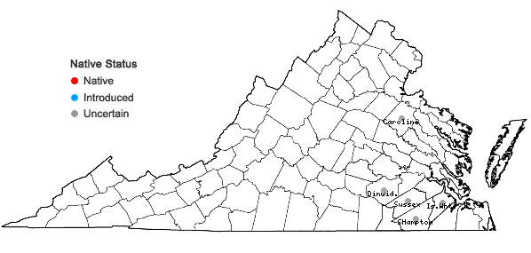Locations ofSpermolepis divaricata (Walt.) Raf. in Virginia