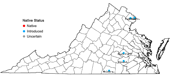 Locations ofSpermolepis echinata (Nutt. ex DC.) Heller in Virginia