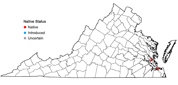 Locations ofSphaerocarpos michelii Bellardi in Virginia