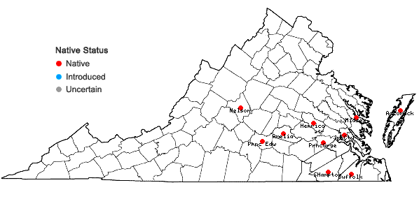 Locations ofSphaerocarpos texanus Austin in Virginia
