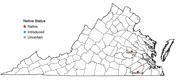 Locations ofSphaerosporoceros adscendens (Lehm. & Lindenb.) Hässel in Virginia