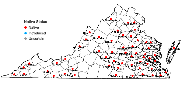 Locations ofSphagnum affine Renauld & Cardot in Virginia