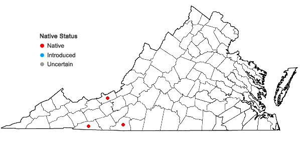 Locations ofSphagnum angustifolium (Warnst.) C.E.O. Jensen in Virginia