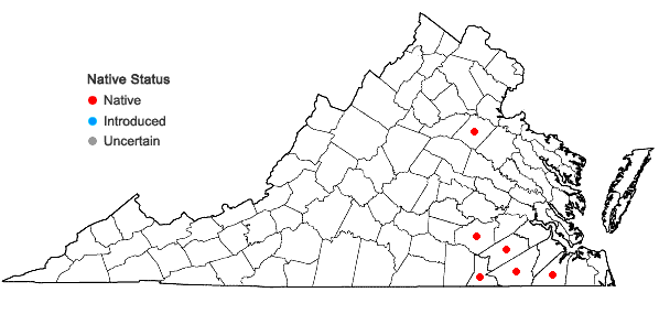 Locations ofSphagnum carolinianum R. E. Andrus in Virginia