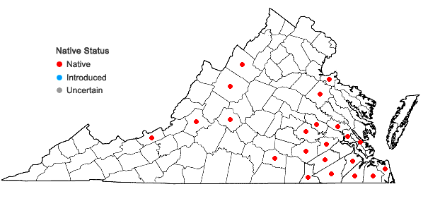 Locations ofSphagnum cuspidatum Hoffm. in Virginia