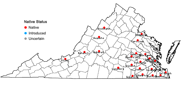 Locations ofSphagnum cuspidatum Hoffm. in Virginia