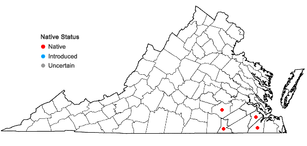 Locations ofSphagnum cyclophyllum Sullivant in Virginia