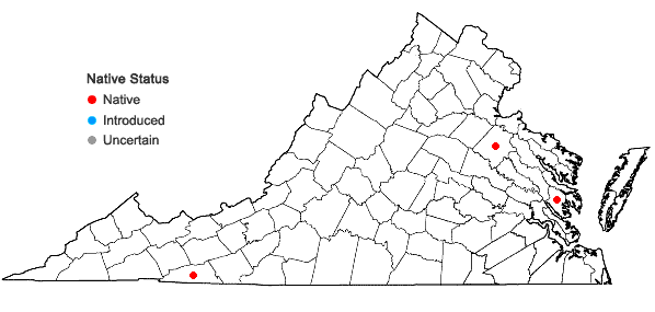 Locations ofSphagnum flavicomans (Cardot) Warnst. in Virginia