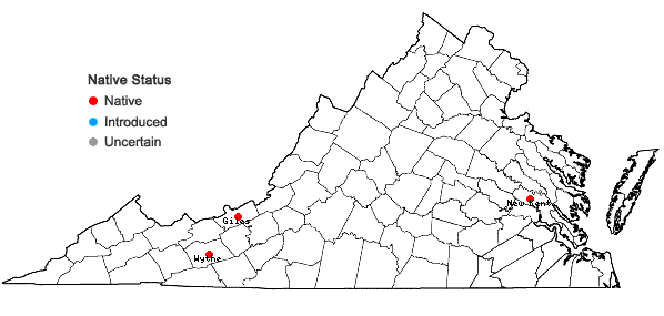 Locations ofSphagnum flexuosum Dozy & Molkenboer in Virginia