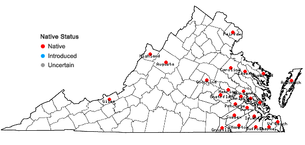Locations ofSphagnum henryense Warnstorf in Virginia