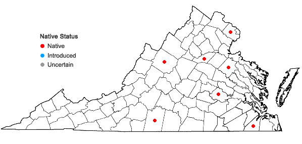 Locations ofSphagnum inundatum Russow in Virginia
