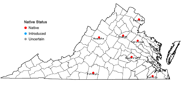 Locations ofSphagnum inundatum Russow in Virginia
