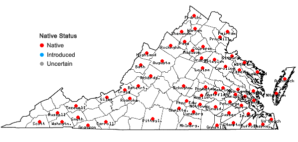 Locations ofSphagnum lescurii Sullivant in Virginia