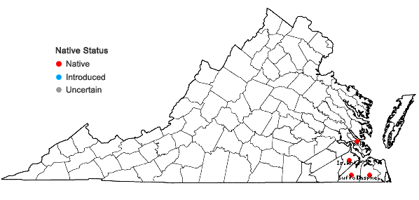 Locations ofSphagnum macrophyllum Bridel in Virginia