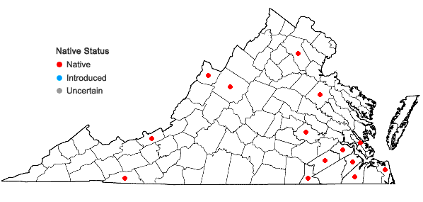 Locations ofSphagnum magellanicum Bridel in Virginia