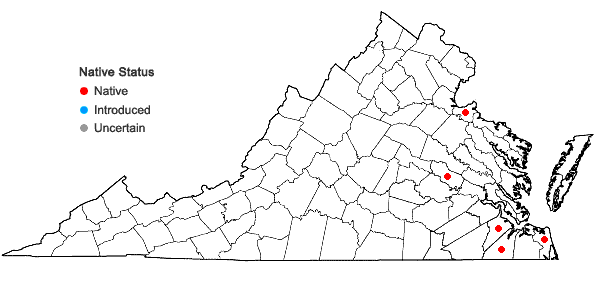 Locations ofSphagnum molle Sull. in Virginia