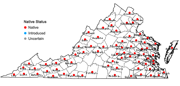 Locations ofSphagnum palustre Linnaeus in Virginia