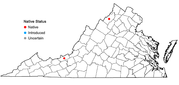 Locations ofSphagnum papillosum Lindb. in Virginia