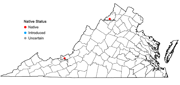 Locations ofSphagnum papillosum Lindb. in Virginia