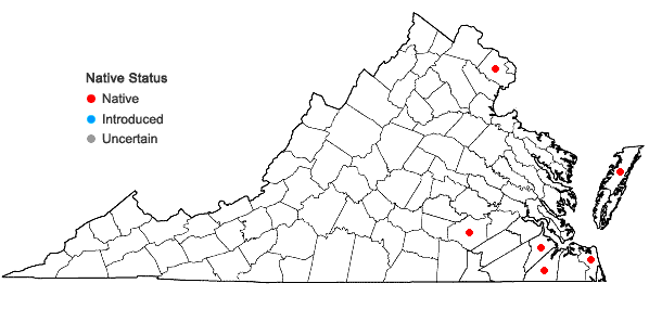 Locations ofSphagnum perichaetiale Hampe in Virginia