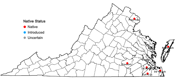 Locations ofSphagnum perichaetiale Hampe in Virginia