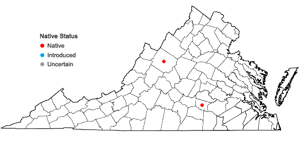 Locations ofSphagnum playtphyllum (Lindb.) Warnst. in Virginia